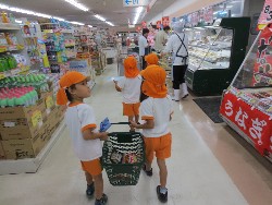 7��27���@�Q�D�������@�����炵�@_9