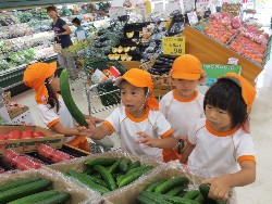 7��27���@�Q�D�������@�����炵�@_15