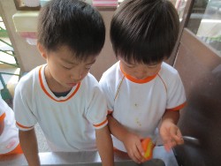 7��27���@�T�D�[�H�@���߂ꂨ��_12