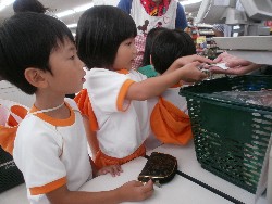 7��27���@�Q�D�������@�ǂ炲��_10