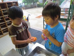 7��28���@�P�P�D���H�@���߂ꂨ��_20