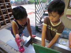 7��28���@�P�P�D���H�@���߂ꂨ��_24