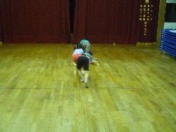 7��28���@�P�Q�D�|���@���[���[_1