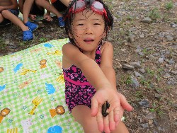 7��30���@�Ђ܂��@�삠����_12