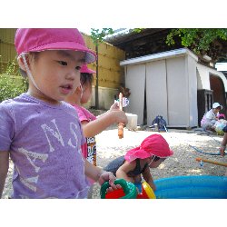 8��2���@��񂰁@����V�с��ߐ��̗l�q_12