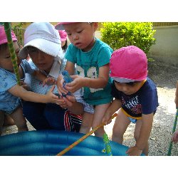 8��2���@��񂰁@����V�с��ߐ��̗l�q_18