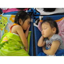 8��2���@��񂰁@����V�с��ߐ��̗l�q_33