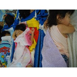 8��2���@��񂰁@����V�с��ߐ��̗l�q_36