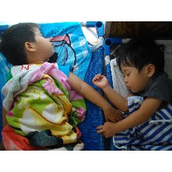 8��2���@��񂰁@����V�с��ߐ��̗l�q_38