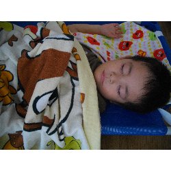 8��2���@��񂰁@����V�с��ߐ��̗l�q_41