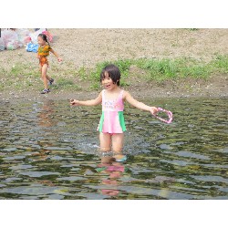 8��8���@�Ђ܂��@�삠����_3