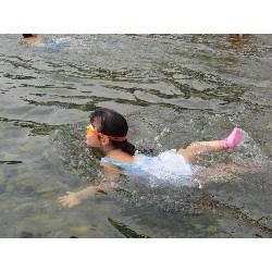 8��8���@�Ђ܂��@�삠����_5