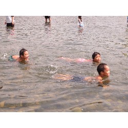 8��8���@�Ђ܂��@�삠����_24