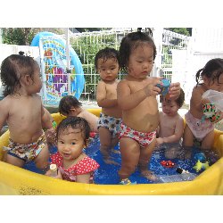 8��8���@������@�v�[���V��_18