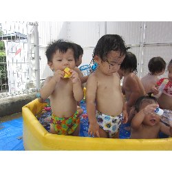 8��8���@������@�v�[���V��_19