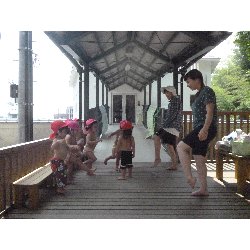 8��9���@����ۂہ@�v�[���V�сE�����V��_2