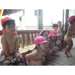 8��9���@����ۂہ@�v�[���V�сE�����V��_3