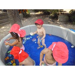 8��9���@����ۂہ@�v�[���V�сE�����V��_5