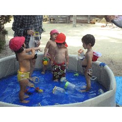 8��9���@����ۂہ@�v�[���V�сE�����V��_6