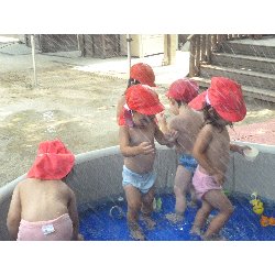 8��9���@����ۂہ@�v�[���V�сE�����V��_7