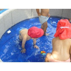 8��9���@����ۂہ@�v�[���V�сE�����V��_14