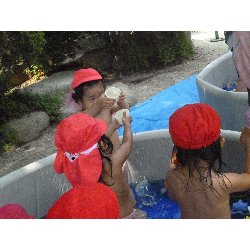 8��9���@����ۂہ@�v�[���V�сE�����V��_18