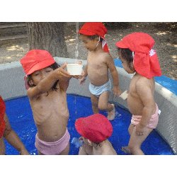 8��9���@����ۂہ@�v�[���V�сE�����V��_20