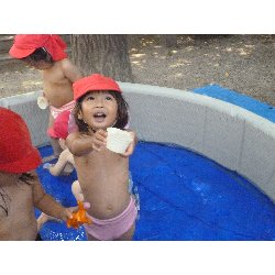 8��9���@����ۂہ@�v�[���V�сE�����V��_21