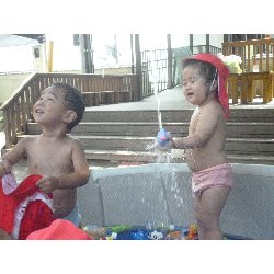 8��9���@����ۂہ@�v�[���V�сE�����V��_24