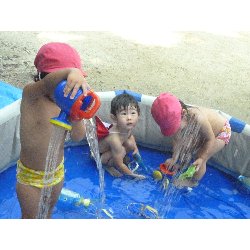 8��9���@����ۂہ@�v�[���V�сE�����V��_25