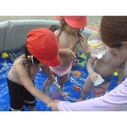 8��9���@����ۂہ@�v�[���V�сE�����V��_33