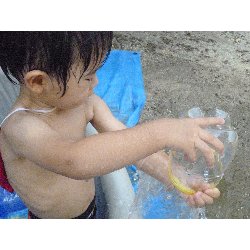 8��9���@����ۂہ@�v�[���V�сE�����V��_40