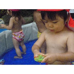 8��9���@����ۂہ@�v�[���V�сE�����V��_41