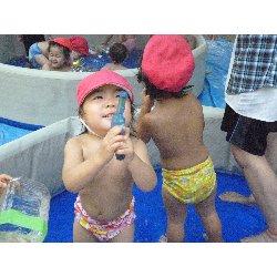 8��9���@����ۂہ@�v�[���V�сE�����V��_43