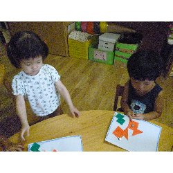 8��9���@����ۂہ@�v�[���V�сE�����V��_52