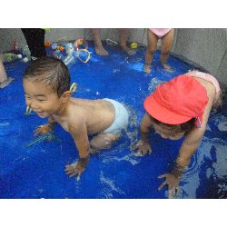 8��9���@����ۂہ@�v�[���V�сE�����V��_54