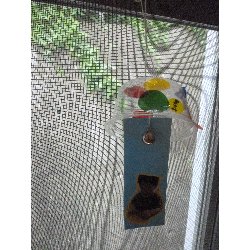 8��9���@����ۂہ@�v�[���V�сE�����V��_65