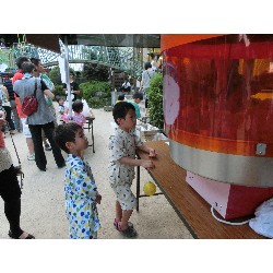 8��10���@�Ă܂�C_16