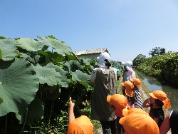 8��19���@�炢����E�ς񂾁i�Ёj�@�@�c���w_1