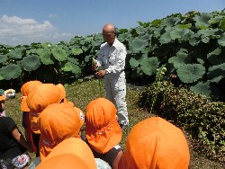 8��19���@�炢����E�ς񂾁i�Ёj�@�@�c���w_2