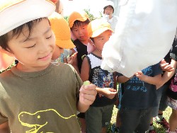 8��19���@�炢����E�ς񂾁i�Ёj�@�@�c���w_3