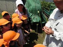 8��19���@�炢����E�ς񂾁i�Ёj�@�@�c���w_4