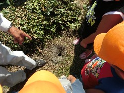 8��19���@�炢����E�ς񂾁i�Ёj�@�@�c���w_6