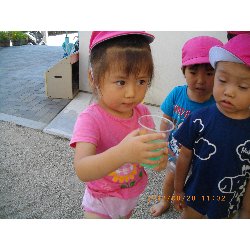 8��20���@��񂰁@�F���V�с`�W���[�X���`_24