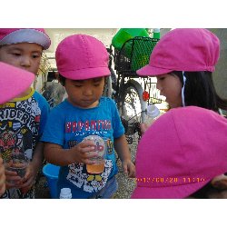 8��20���@��񂰁@�F���V�с`�W���[�X���`_34