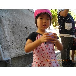 8��20���@��񂰁@�F���V�с`�W���[�X���`_44