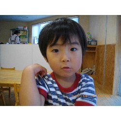 8��20���@��񂰁@�F���V�с`�W���[�X���`_52