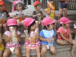 8��23���@����ۂہ@�F���V��_1