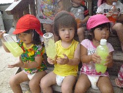 8��23���@����ۂہ@�F���V��_2