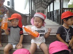 8��23���@����ۂہ@�F���V��_3